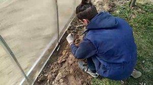 Установка теплицы из поликарбоната на грунт без фундамента