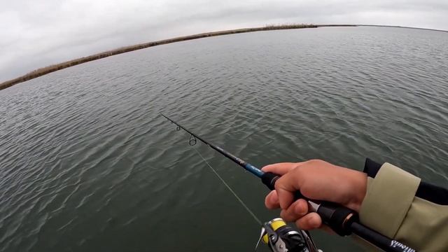 Щука на неогруженную резину / Рыбалка на спиннинг в траве / CF Versus 802EHT смотреть онлайн