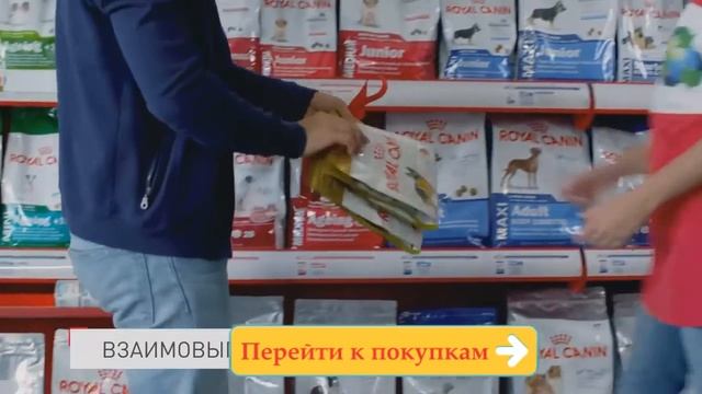 Роял канин полезный корм для собак и кошек Royal Canin смотреть онлайн