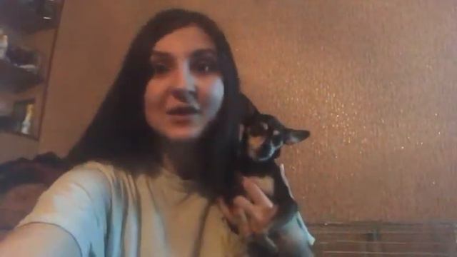 Вет. клиника "Второй шанс" г Набережные челны смотреть онлайн