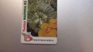 Самые вкусные тыквы.Что делать,если рассада вытянулась.