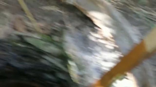 I Сухие Дрожжи в Септике Эксперимент Выгребная Яма Dry Yeast In Septic Tank Sump Experiment 2020083