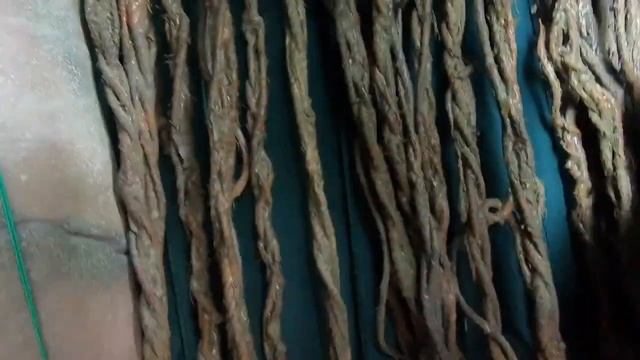 THE GREEN PLANET DUBAI #VLOG9 смотреть онлайн