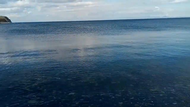 На отдыхе стреляют по чайкам. Семейство живодеров. Владивосток. Мыс Вятлина. 29 мая 2021 г. смотреть онлайн