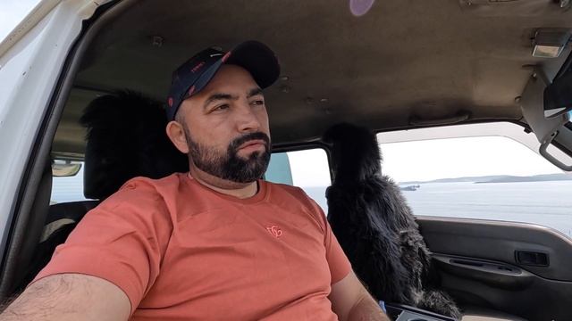 Американский Булли, лучшего друга у вас не будет. смотреть онлайн