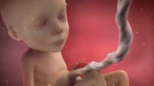 10 Вещей, Которые Делает Малыш в Утробе