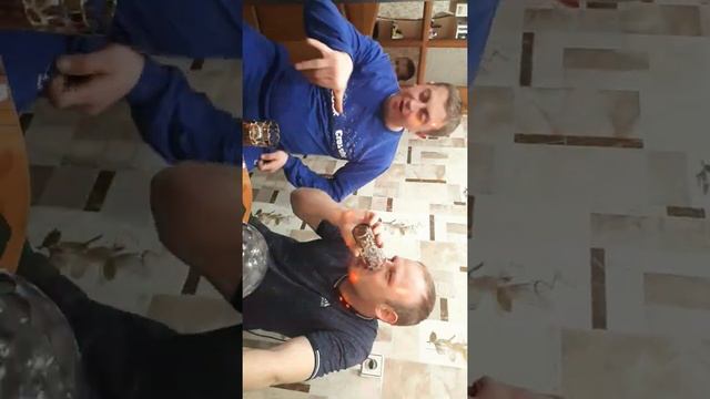 Правда панда смотреть онлайн
