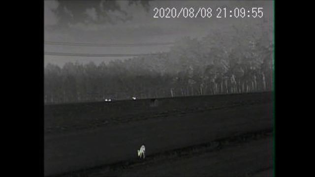 Test IRAY E3N / MTD 19 / Termovision IRay XEYE E3n