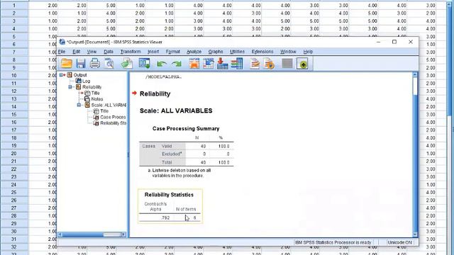 How to calculate Cronbach's alpha using SPSS смотреть онлайн