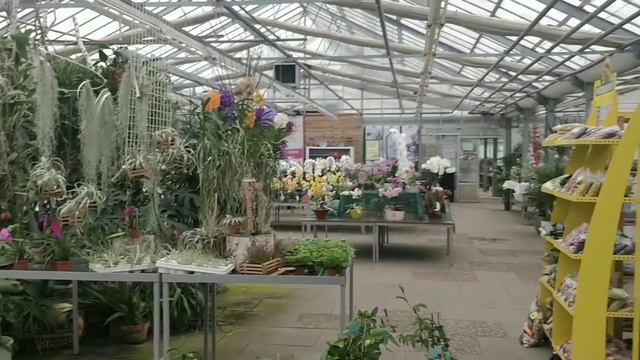 Орхидеи Херра Вихмана. Интересные кашпо. смотреть онлайн