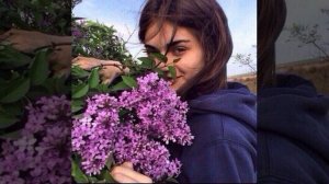 Бакр - Апрельская сирень