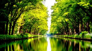 Успокаивающая музыка для сна, снятия стресса и медитации