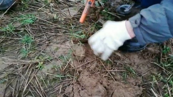 Купили Металлоискатель Nokta Makro Simplex! Первый коп с Nokta Makro Simplex!