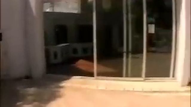 Royal Palm Resort.wmv смотреть онлайн