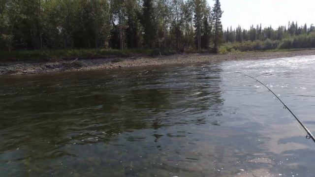 Второй сплав по реке Лемва с рыбалкой 2022. День седьмой смотреть онлайн