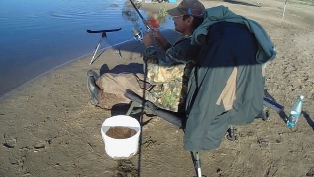 Чехонь на фидер на Оке. смотреть онлайн