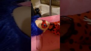 У леди баг болит живот