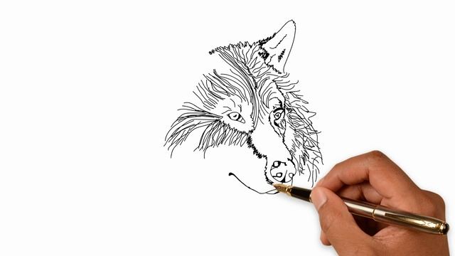 A painted video portrait, or how to draw a wolf. смотреть онлайн