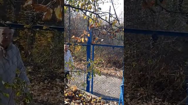 Аист улетает в тёплые края смотреть онлайн