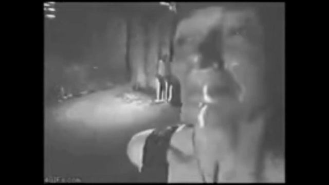 333.333.333 смотреть онлайн