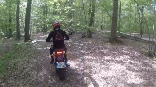 HONDA SMX 125 / TEST / 2018 смотреть онлайн