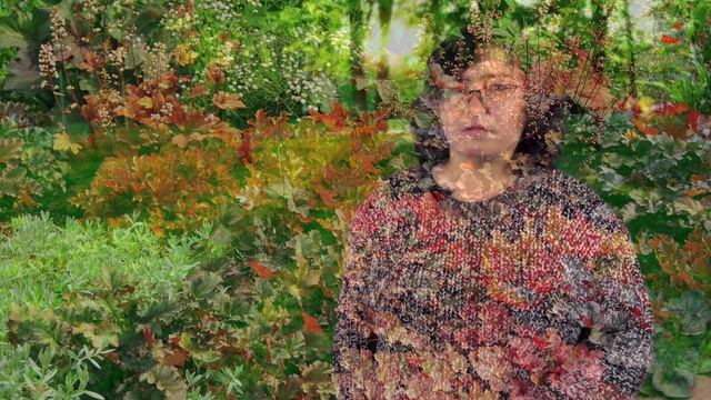 Гейхера от истории до сортов. смотреть онлайн