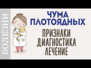 Чумка собак. Симптомы и домашняя диагностика чумы у собак.
