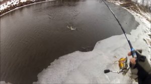 FishComm Shop: Первая щука 2015. Kosadaka Mirage XS 70F TT.