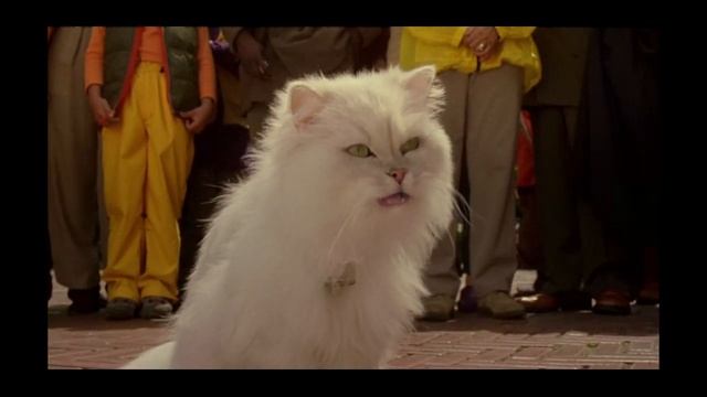 Stuart Little 2 | New Funny Movie | Movie 1| Part 14 смотреть онлайн