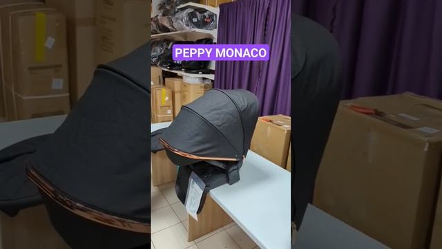 Коляска 2в1 Peppy Monaco в DKS