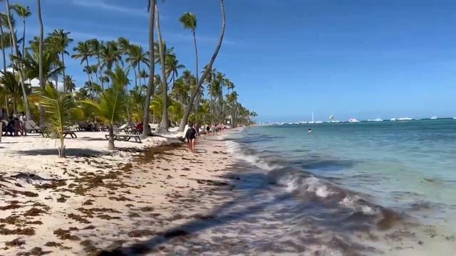Это лучшие пляжи Доминиканы?  Barcelo Bavaro Пунта Кана.