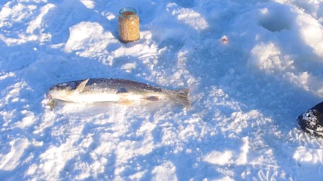 Микижа смотреть онлайн