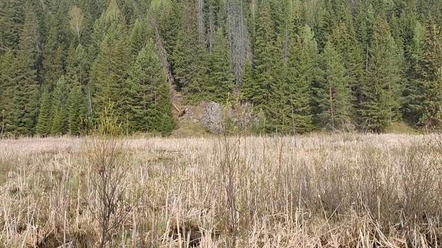 У подножия горы, где расположен курорт «Нижние Серги» смотреть онлайн