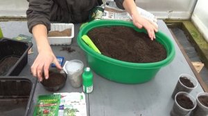 ГРУНТ ДЛЯ РАССАДЫ: подготовка и обработка