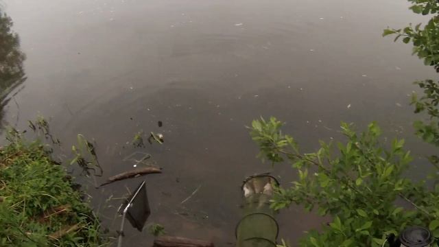 НАЛОВИЛ ОГРОМНЫХ ЛЕЩЕЙ. смотреть онлайн