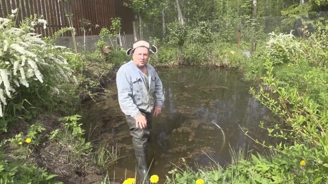 КОРМЛЕНИЕ КАРАСЕЙ В ПРУДУ | ЧЕМ КОРМИТЬ РЫБ ? смотреть онлайн