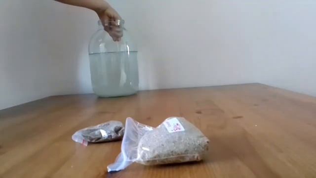 выращиваю морских дракончиков. смотреть онлайн