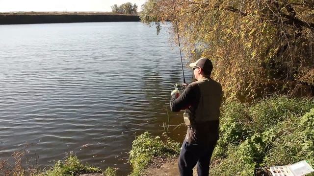 ZEMEX REXAR 792MH | ЗАБРОС НА ПЕРЕГРУЗЕ