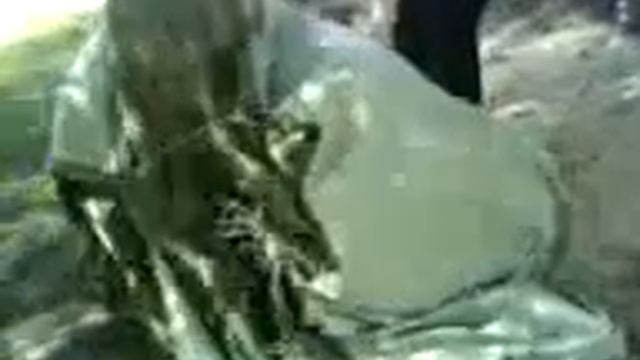 васёк и андрей смотреть онлайн