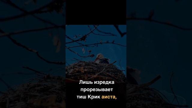 Этот стих Анны Ахматовой поменял мою жизнь смотреть онлайн