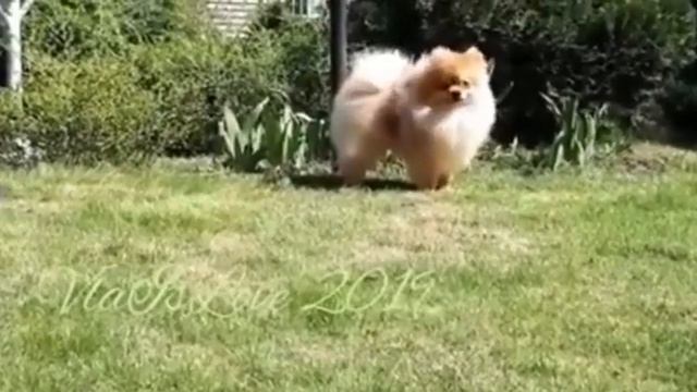 4 февраля 2020 г. смотреть онлайн