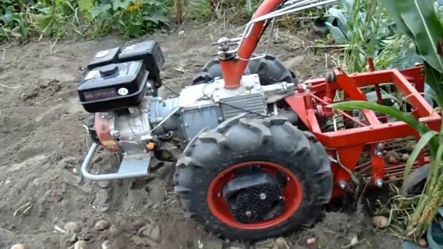 Копання картоплі мотоблок Мотор Січ МБ-9 плюс грохотна картоплекопалка КАМ'ЯНКА. Сезон 2017. ?? смотреть онлайн