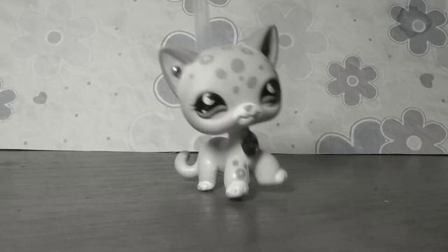 LPS: ПОХОД В МАГАЗИН ЗА ИГРУШКАМИ ЛПС 2017 года / LPS toys shopping 2017 смотреть онлайн