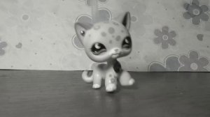 LPS: ПОХОД В МАГАЗИН ЗА ИГРУШКАМИ ЛПС 2017 года / LPS toys shopping 2017