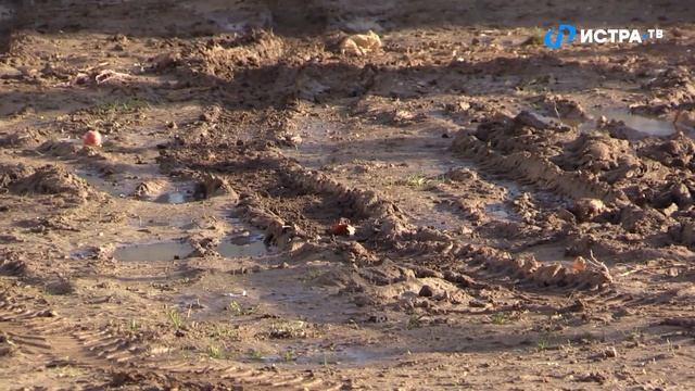 Есть проблема? Тогда мы приедем к Вам! смотреть онлайн