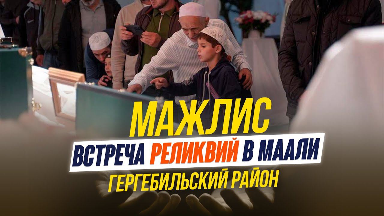 ВСТРЕЧА РЕЛИКВИЙ ПРОРОКА ﷺ В Маали 2024г.| ПроДинМедиа | ProDinMedia смотреть онлайн