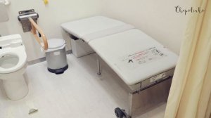 ТУАЛЕТЫ В ЯПОНИИ! Что такое цивилизация