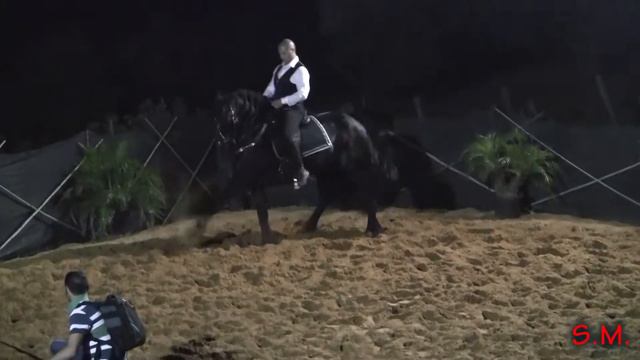 Domenico Vella - Gala equestre смотреть онлайн