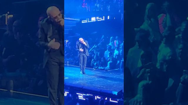 pitbull смотреть онлайн