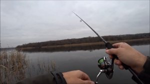 XESTA BLACK STAR s83 тест на днепровских окунях. Первая рыбалка с новым супер лайтиком!